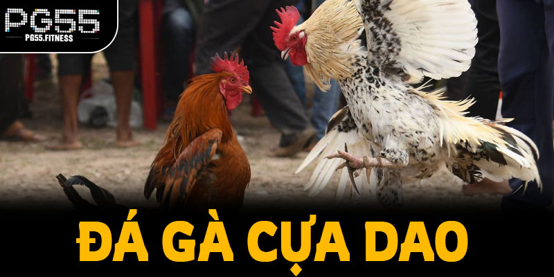 Bóc tách đặc điểm khiến trận cựa dao khác biệt