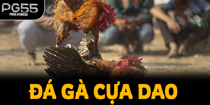 Đọc tỷ lệ và trạng thái thi đấu như chuyên gia